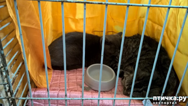 ���� 26: ������?? ��� ������!