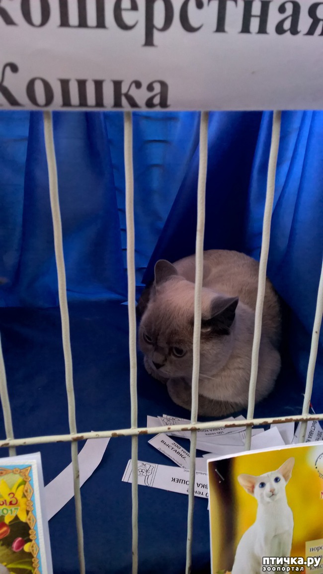 ���� 28: ������?? ��� ������!