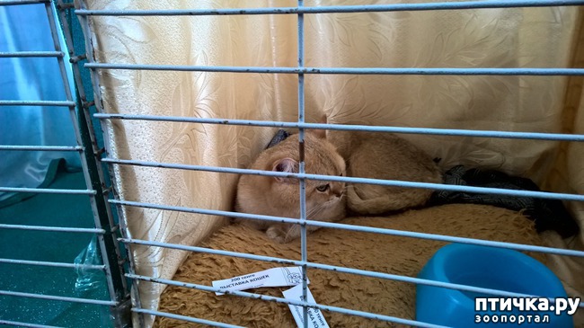 ���� 27: ������?? ��� ������!