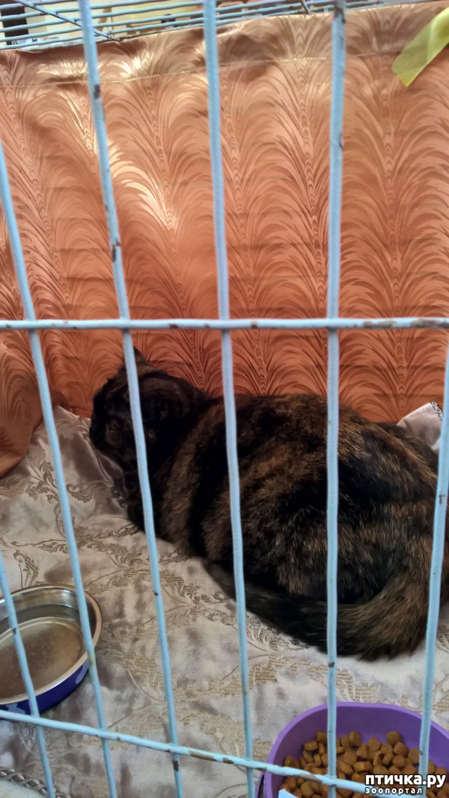 ���� 29: ������?? ��� ������!