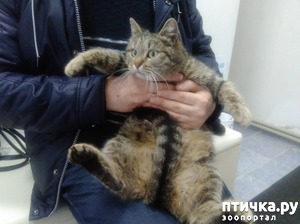 ����: ��� ���� ������� �� ������������.