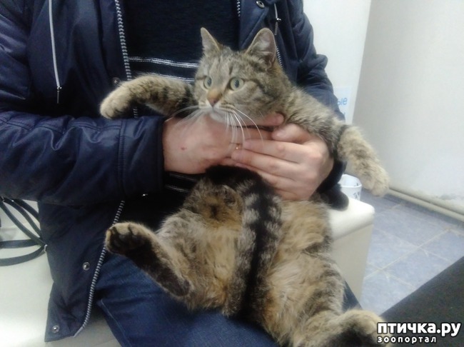 ���� 1: ��� ���� ������� �� ������������.