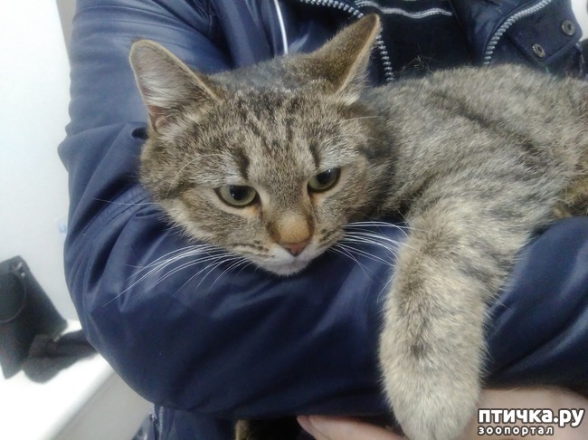 ���� 2: ��� ���� ������� �� ������������.