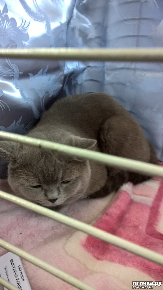 ���� 31: ������?? ��� ������!