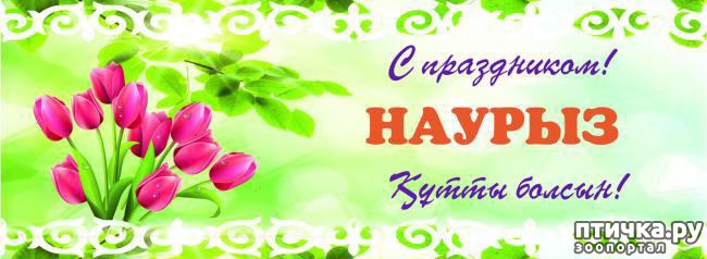 ���� 32: ������?? ��� ������!