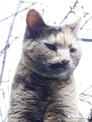 ����: ������������ � ��������� ���������. ������� �������