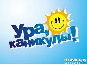 ����: �����������: �������-��, ��������!!!