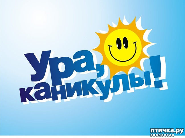 ���� 1: �����������: �������-��, ��������!!!