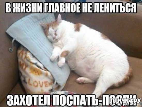 ���� 2: �����������: �������-��, ��������!!!