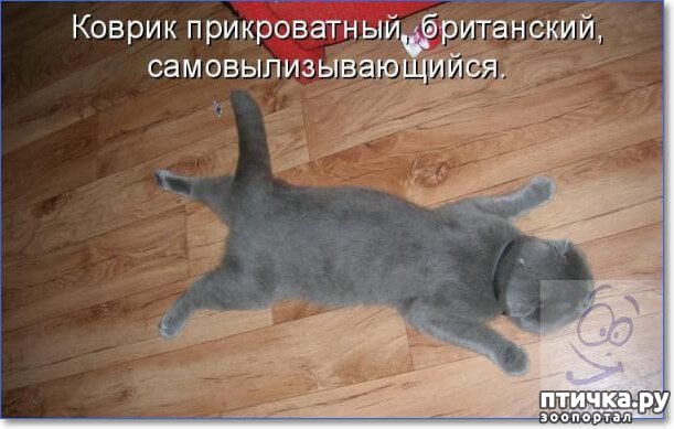 ���� 4: �����������: �������-��, ��������!!!