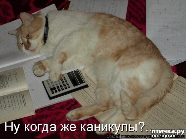 ���� 5: �����������: �������-��, ��������!!!