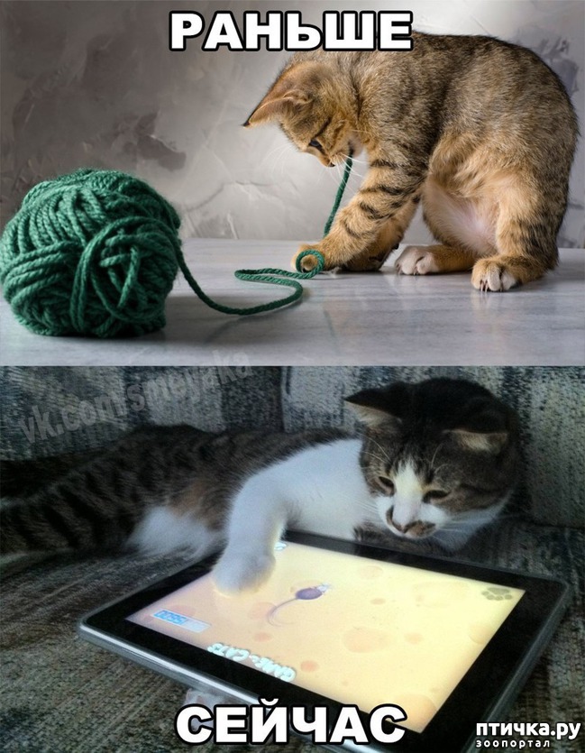 ���� 7: �����������: �������-��, ��������!!!