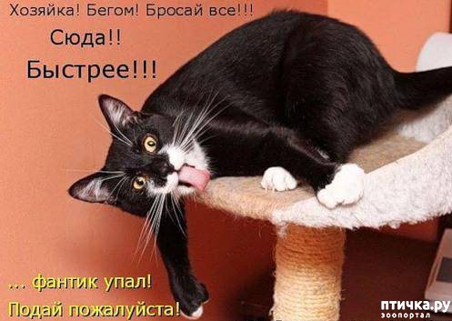 ���� 8: �����������: �������-��, ��������!!!