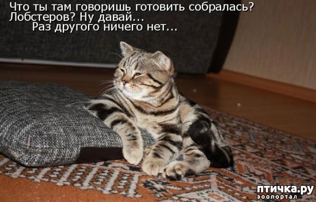 ���� 9: �����������: �������-��, ��������!!!