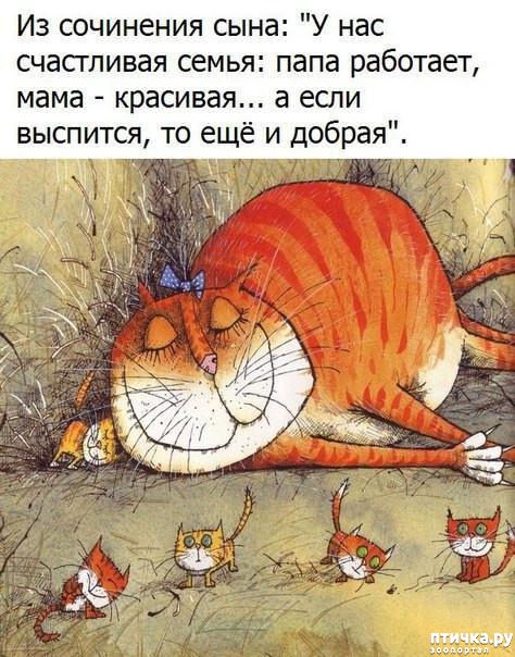 ���� 10: �����������: �������-��, ��������!!!