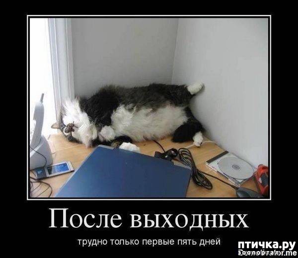 ���� 11: �����������: �������-��, ��������!!!