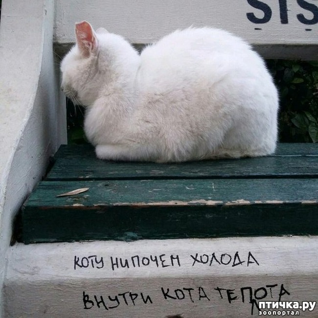 ���� 12: �����������: �������-��, ��������!!!