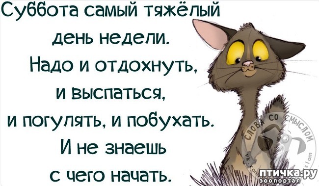 ���� 13: �����������: �������-��, ��������!!!