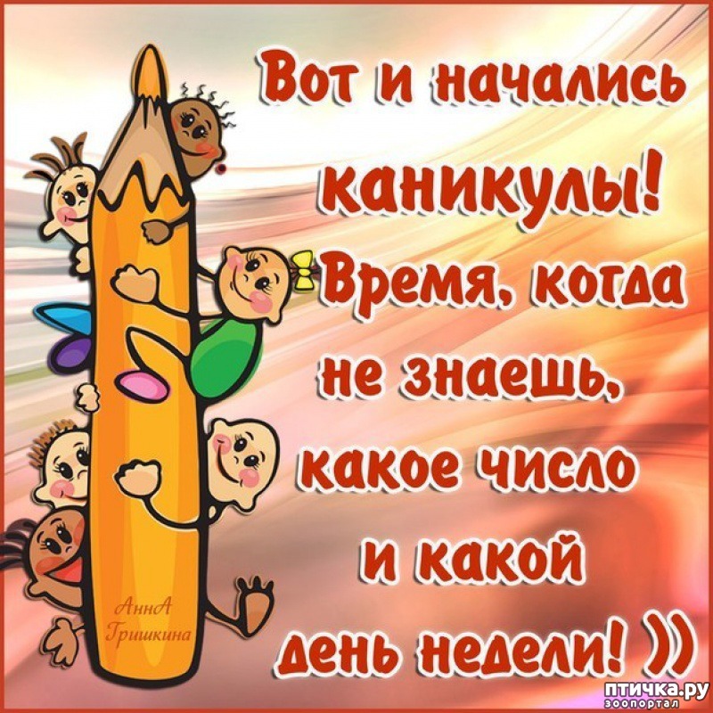 Наконец то закончился учебный год картинки