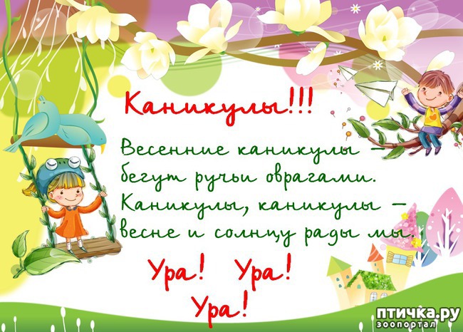 ���� 15: �����������: �������-��, ��������!!!