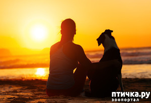 ����: ��� ������ ����� �����...