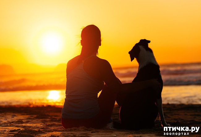 ���� 1: ��� ������ ����� �����...