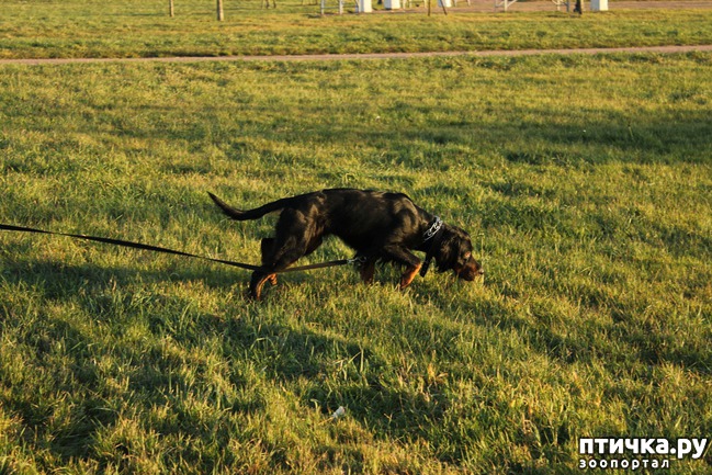 ���� 2: �������� � ����������� ������������ ������� (������ � ����������)