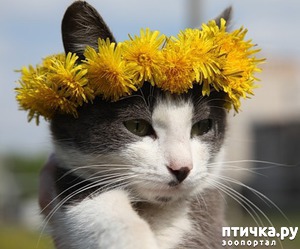 ����: ����������, ���������!