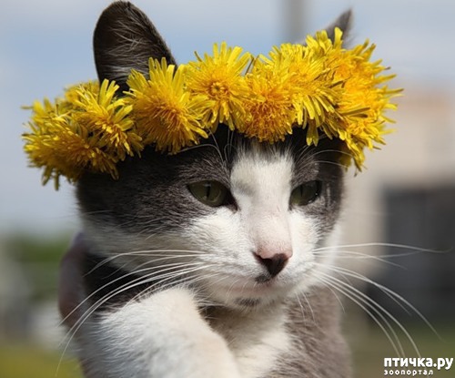 ���� 1: ����������, ���������!