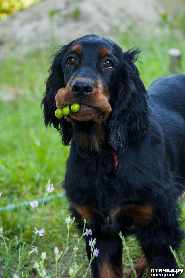 ���� 4: �������� � ����������� ������������ ������� (������ � ����������)