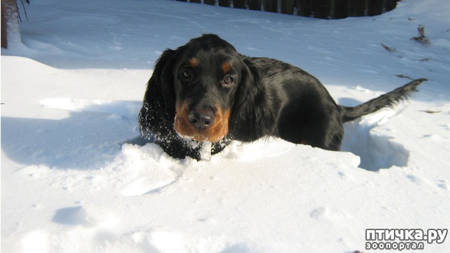 ���� 3: �������� � ����������� ������������ ������� (������ � ����������)