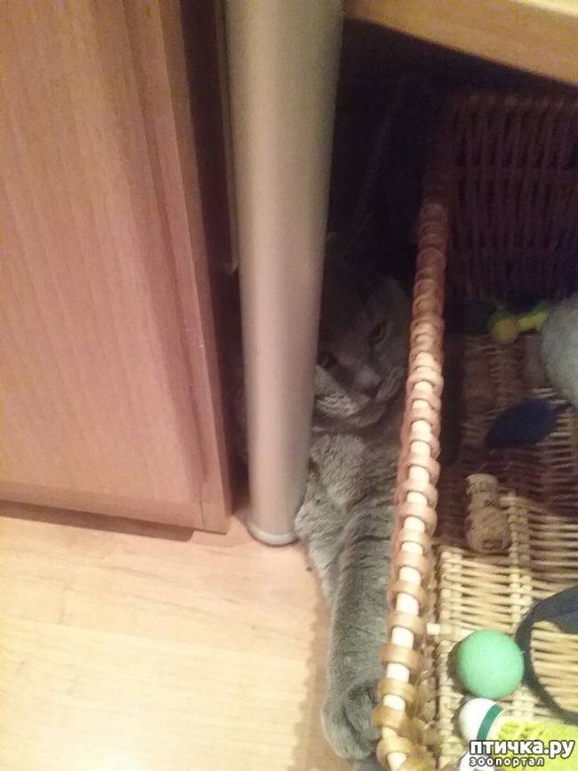 ���� 2: ��� � ��������� ����� (� �����)?