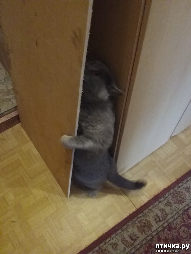 ���� 4: ��� � ��������� ����� (� �����)?