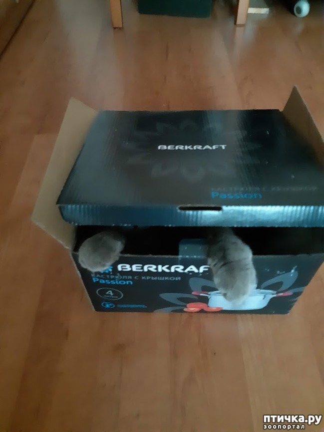 ���� 5: ��� � ��������� ����� (� �����)?