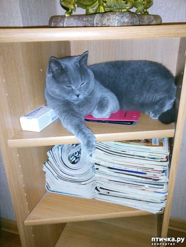 ���� 8: ��� � ��������� ����� (� �����)?