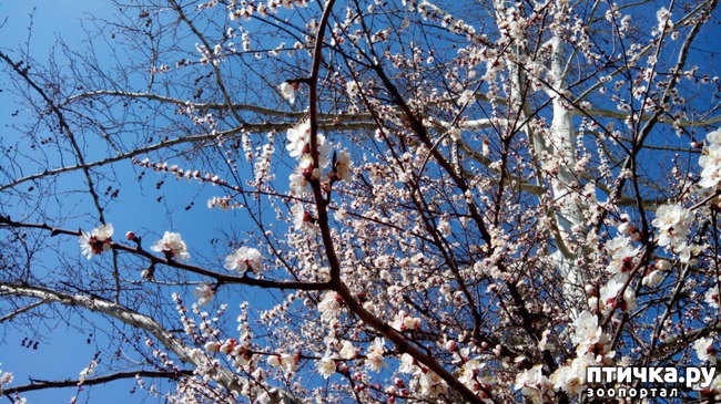 ���� 1: ��� ������� �����