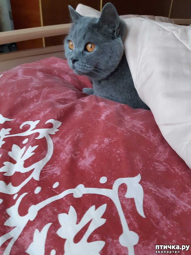 ���� 9: ��� � ��������� ����� (� �����)?