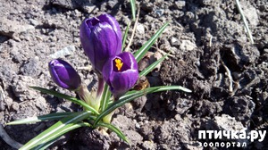 ����: ���������� �� �������