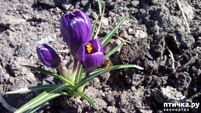 ���� 1: ���������� �� �������