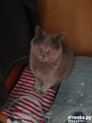 ����: ��� � ��������� ����� (� �����)?