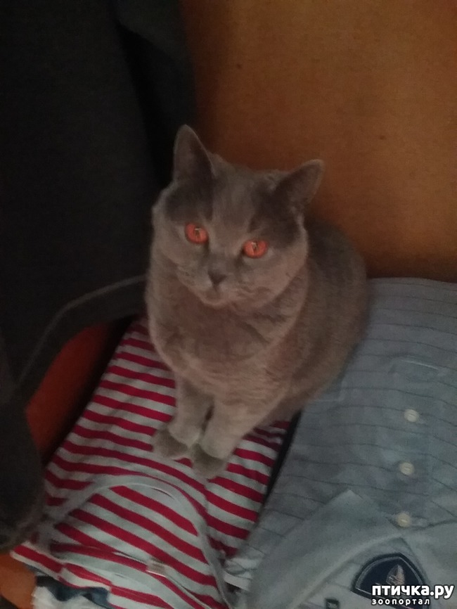 ���� 1: ��� � ��������� ����� (� �����)?