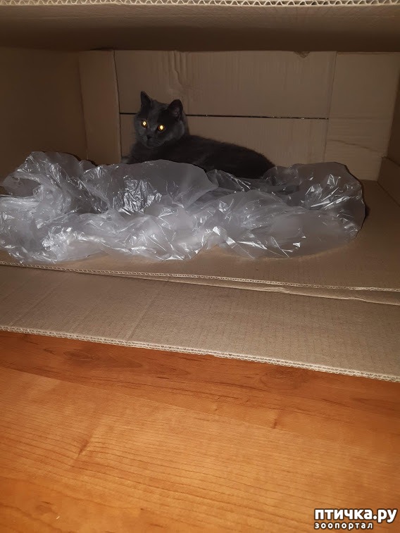 ���� 10: ��� � ��������� ����� (� �����)?