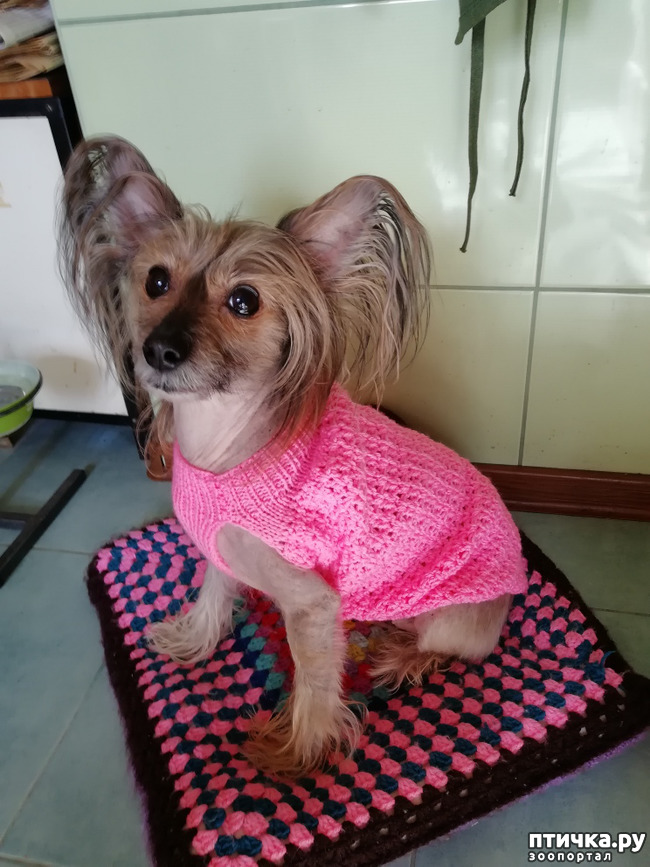 ���� 4: ���� � ���� �� ������...