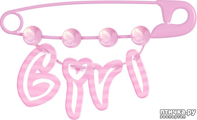 ���� 5: ���������� ��������...