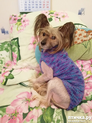 ����: ���� � ���� �� ������...