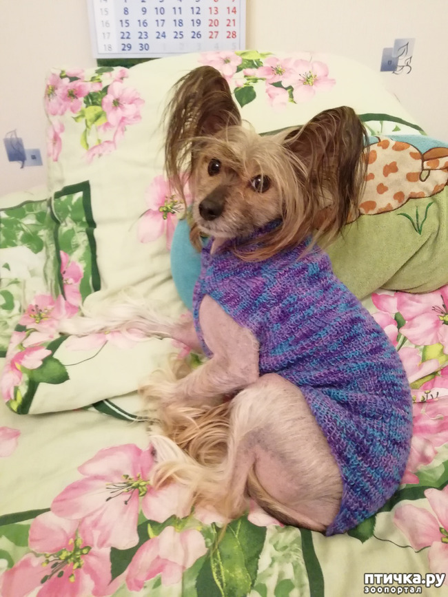 ���� 1: ���� � ���� �� ������...