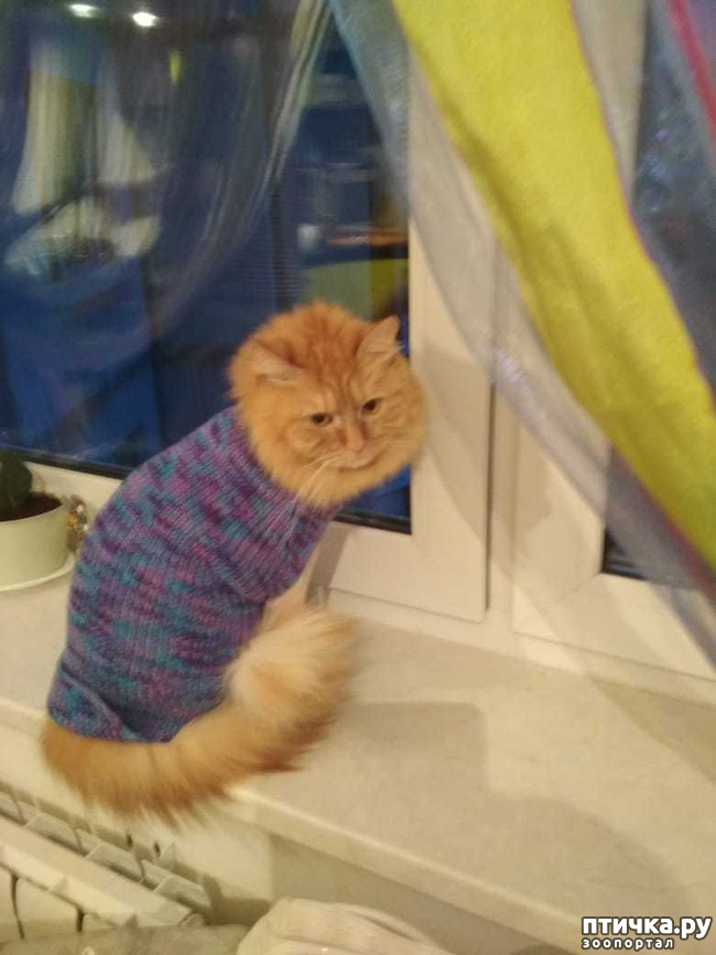 ���� 2: ���� � ���� �� ������...