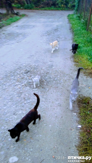 ����: ��� �����. ����� ������.