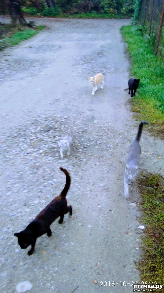 ���� 1: ��� �����. ����� ������.