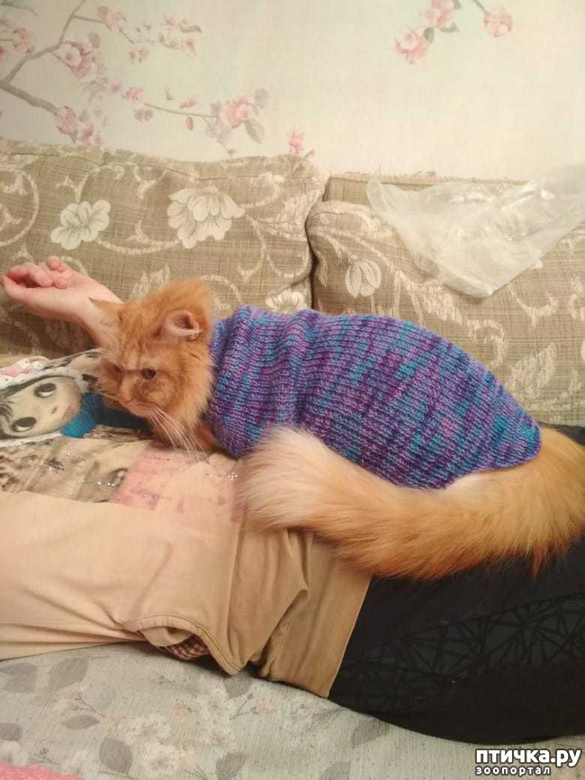 ���� 3: ���� � ���� �� ������...